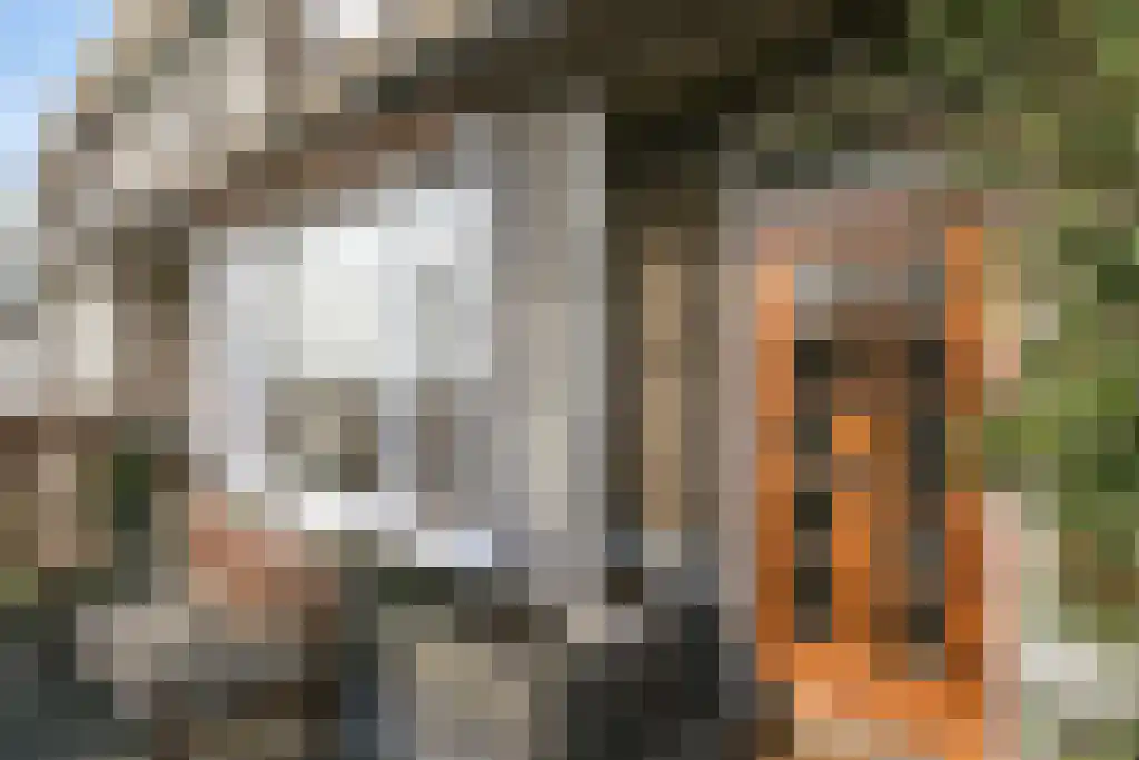 Abdijlaan 56 Uden thumbnail 5
