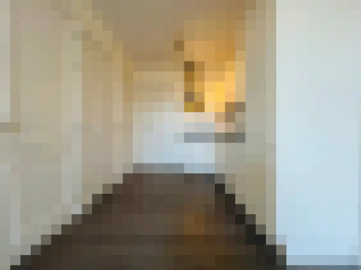 Abdijlaan 57 D Uden thumbnail 4