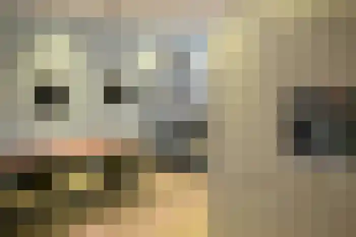 Abdijlaan 577 Uden thumbnail 11