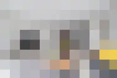 Abdijlaan 58 B Uden thumbnail 33
