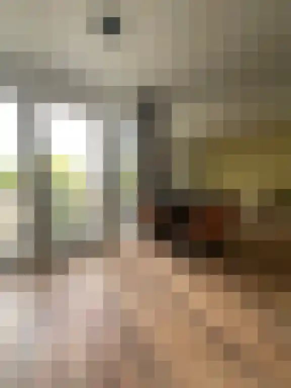 Abdijlaan 59 Uden thumbnail 4