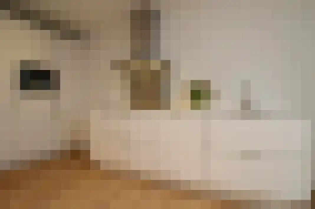 Abdijlaan 59 Uden thumbnail 5