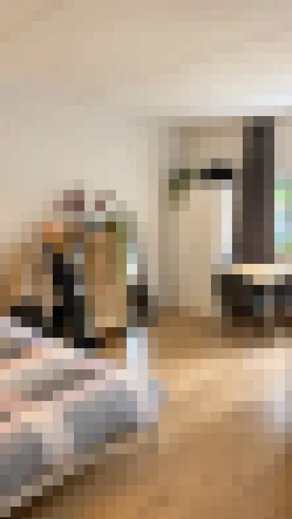 Abdijlaan 6 b Uden thumbnail 4