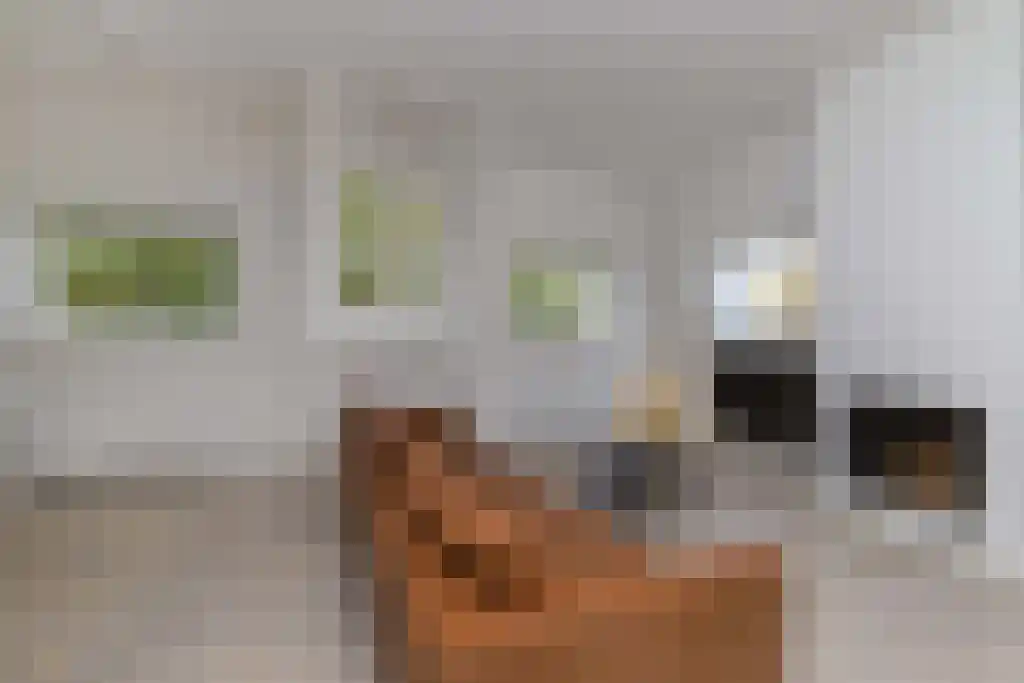 Abdijlaan 6 D Uden thumbnail 6
