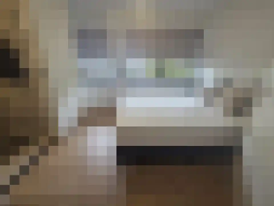 Abdijlaan 6 months Uden thumbnail 5