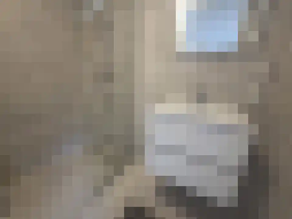 Abdijlaan 6 months Uden thumbnail 6