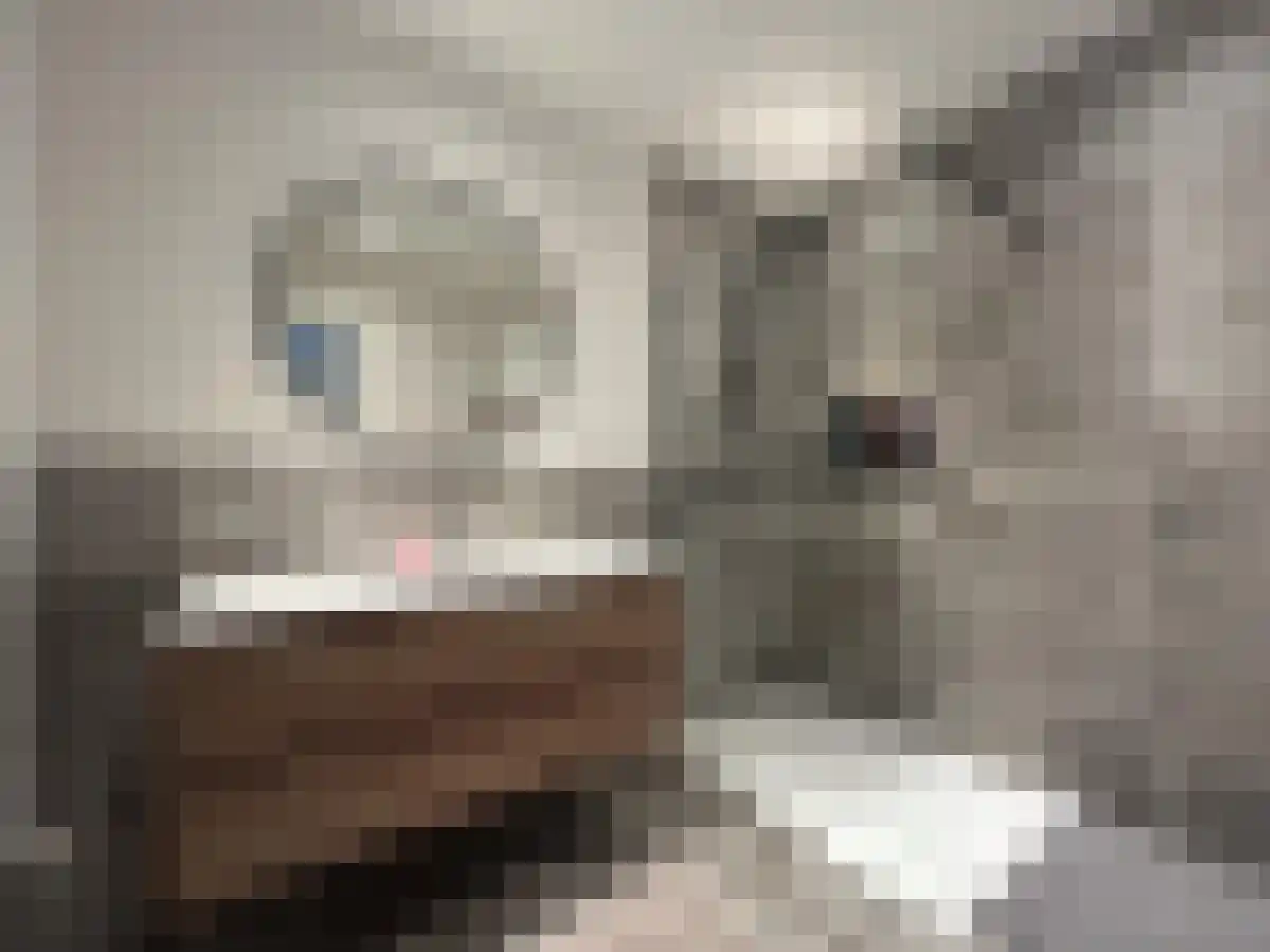 Abdijlaan 6 Uden foto 2