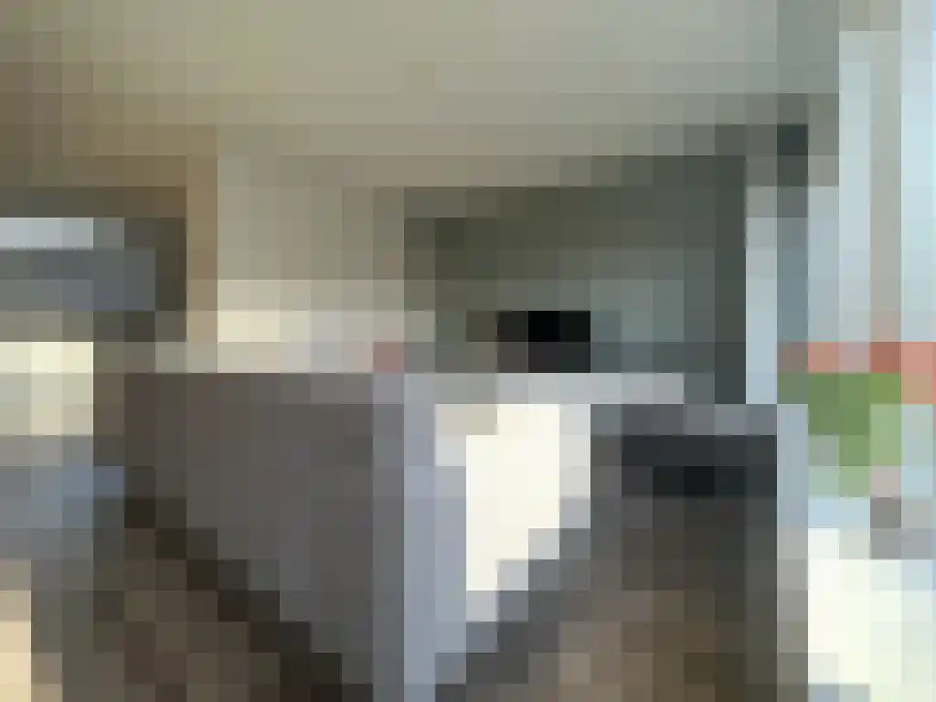 Abdijlaan 6 Uden foto 3