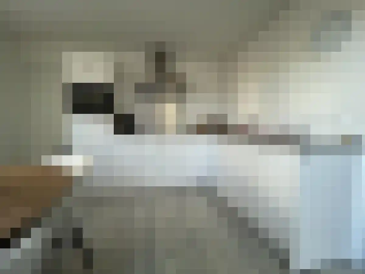 Abdijlaan 6 Uden foto 3