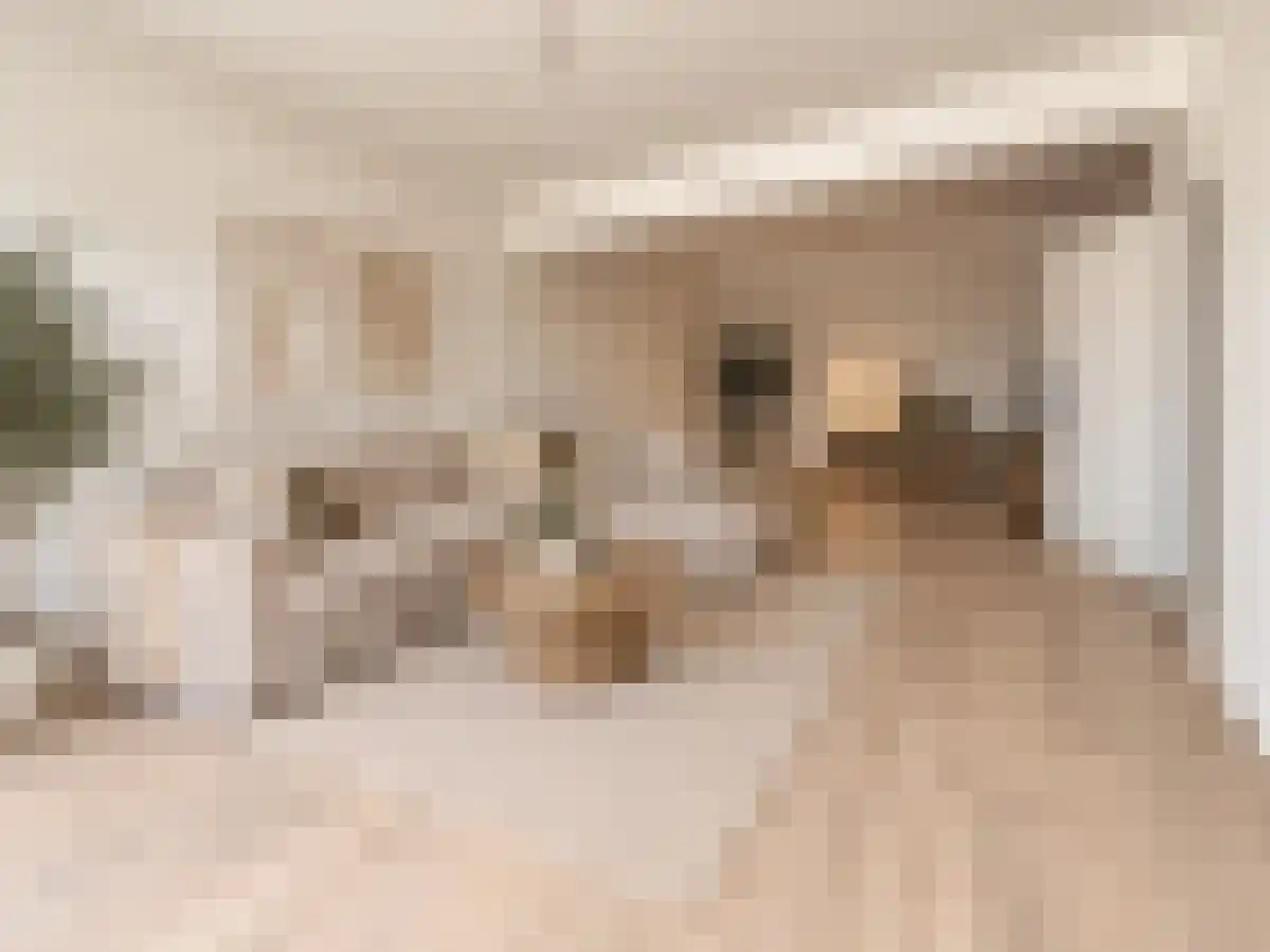 Abdijlaan 6 Uden thumbnail 4