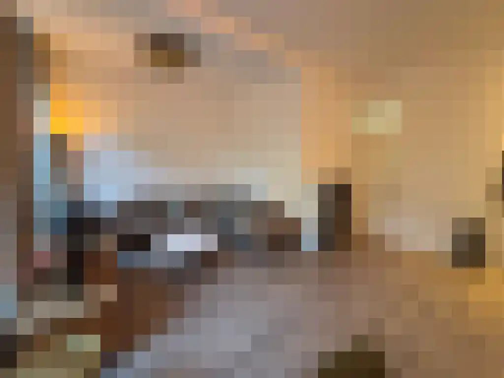 Abdijlaan 60 C Uden thumbnail 4