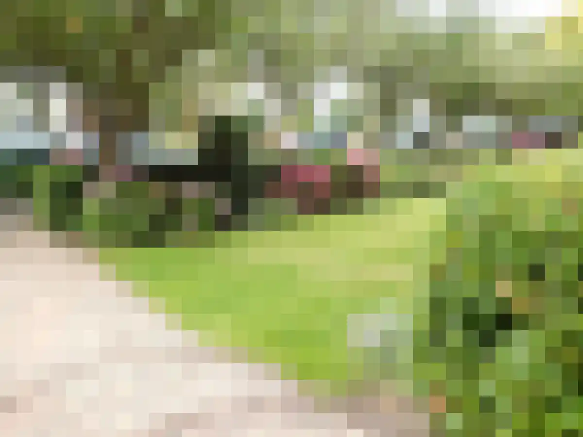 Abdijlaan 60 Uden foto 3