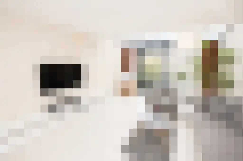 Abdijlaan 60 Uden thumbnail 4
