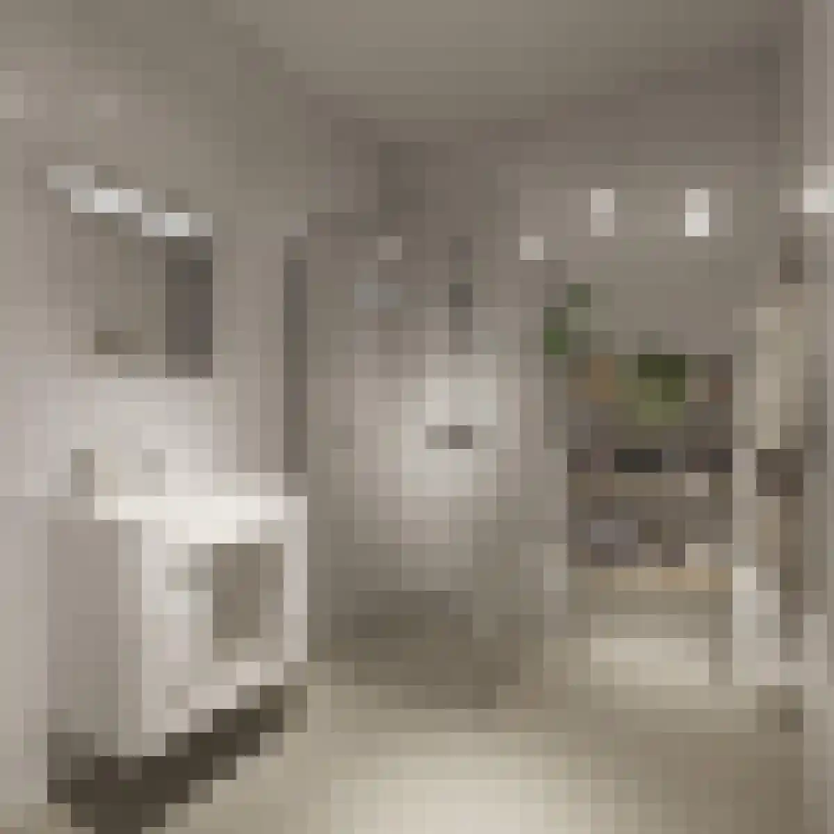 Abdijlaan 602 Uden thumbnail 4
