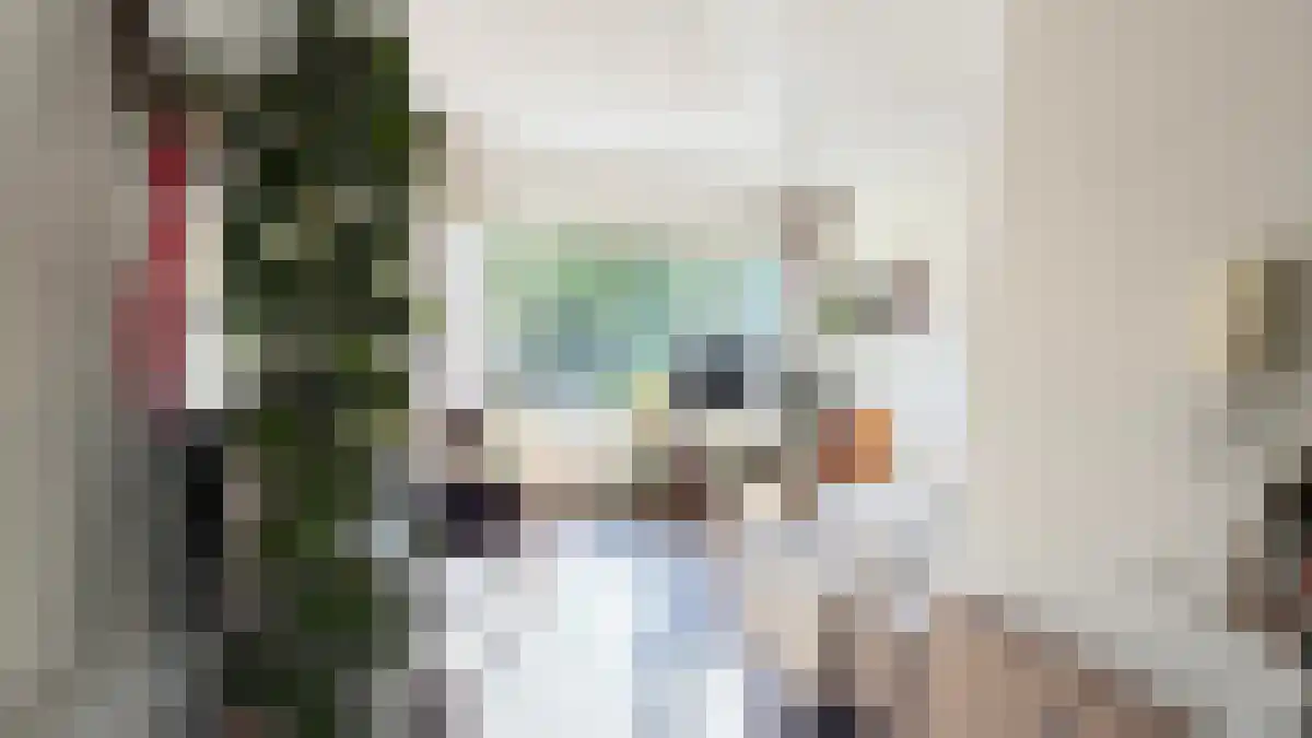 Abdijlaan 61 E Uden thumbnail 4