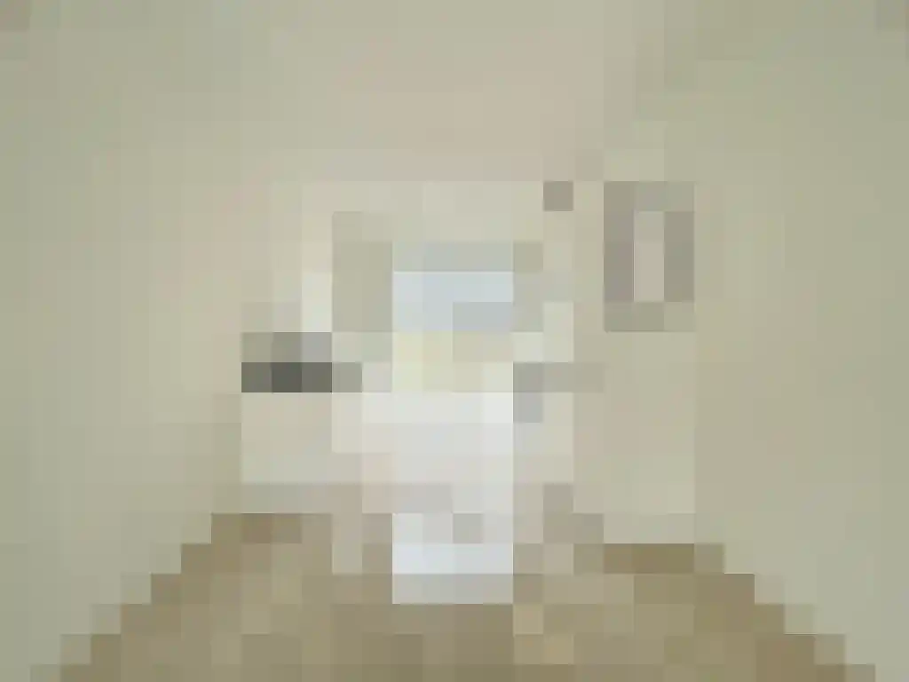 Abdijlaan 61 Uden thumbnail 4