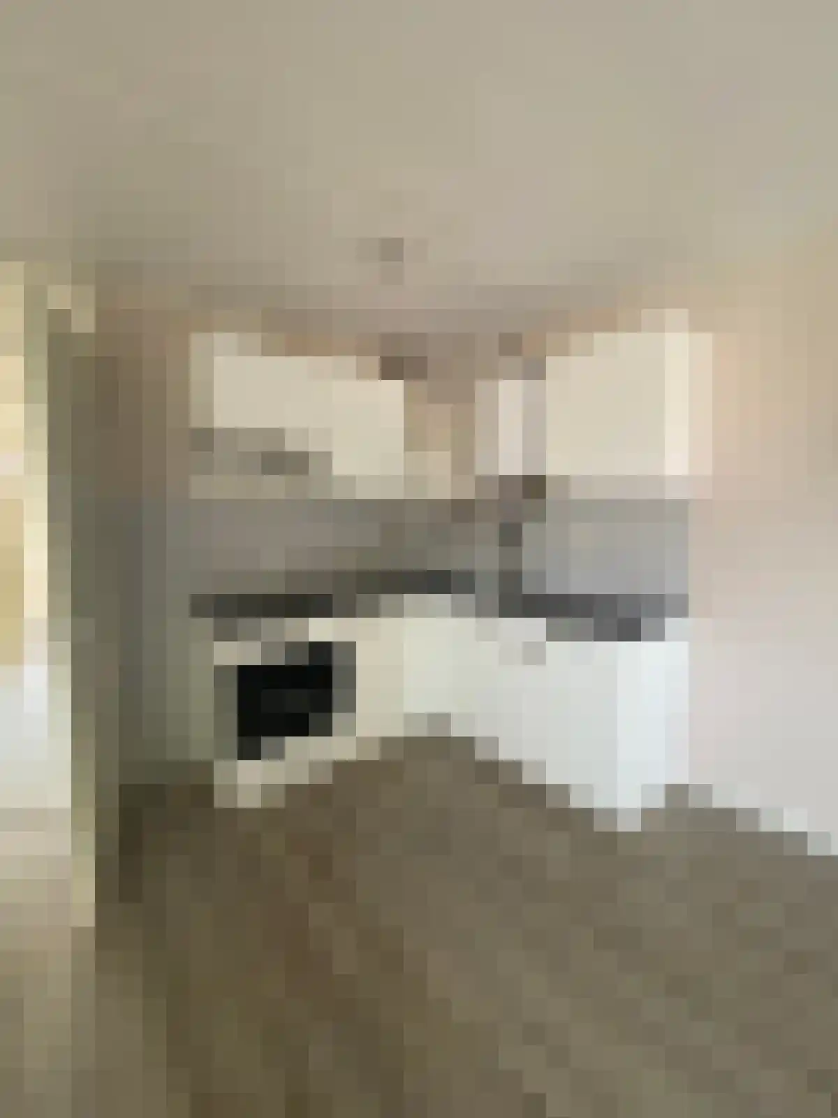 Abdijlaan 62 C Uden foto 3