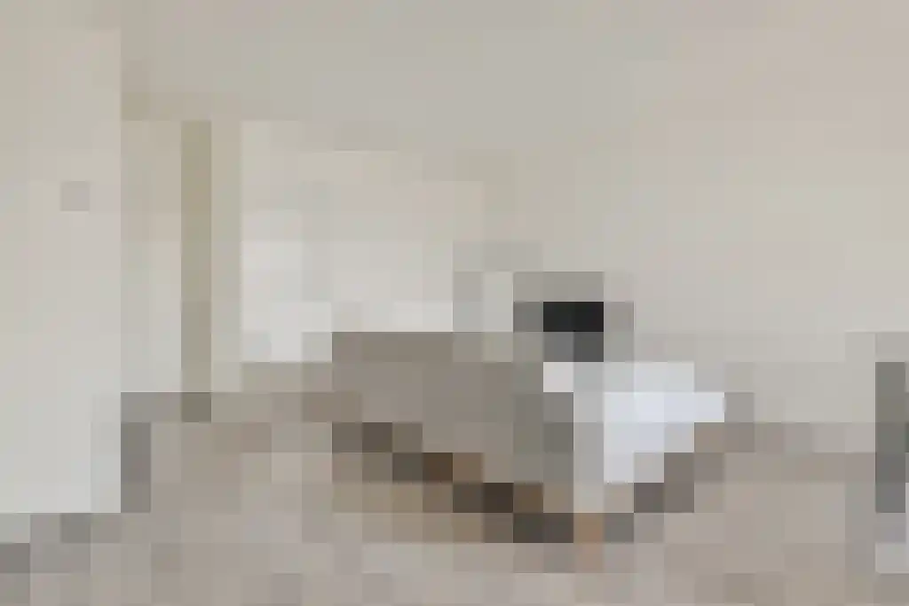 Abdijlaan 62 C Uden thumbnail 4