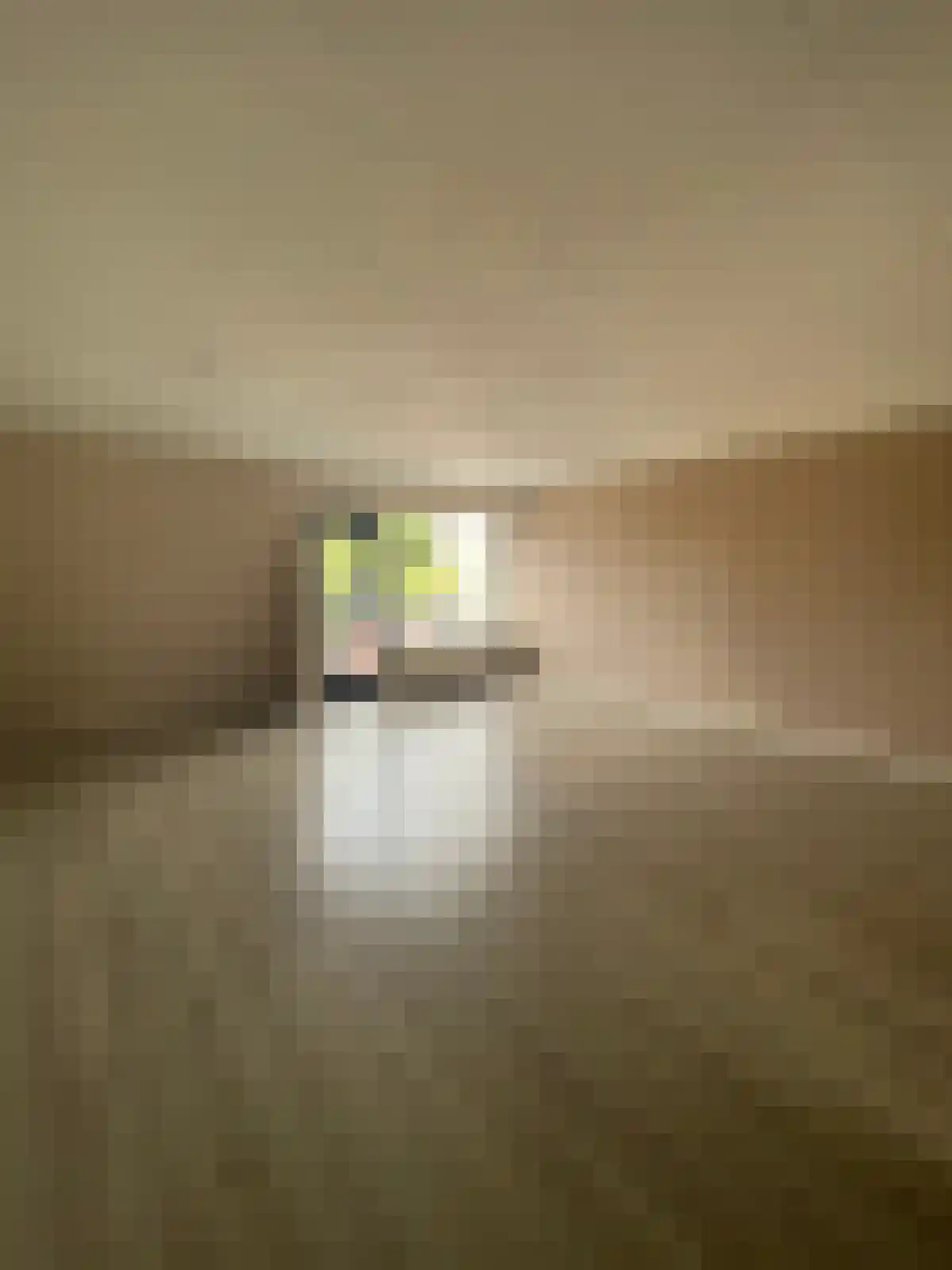 Abdijlaan 62 C Uden thumbnail 6