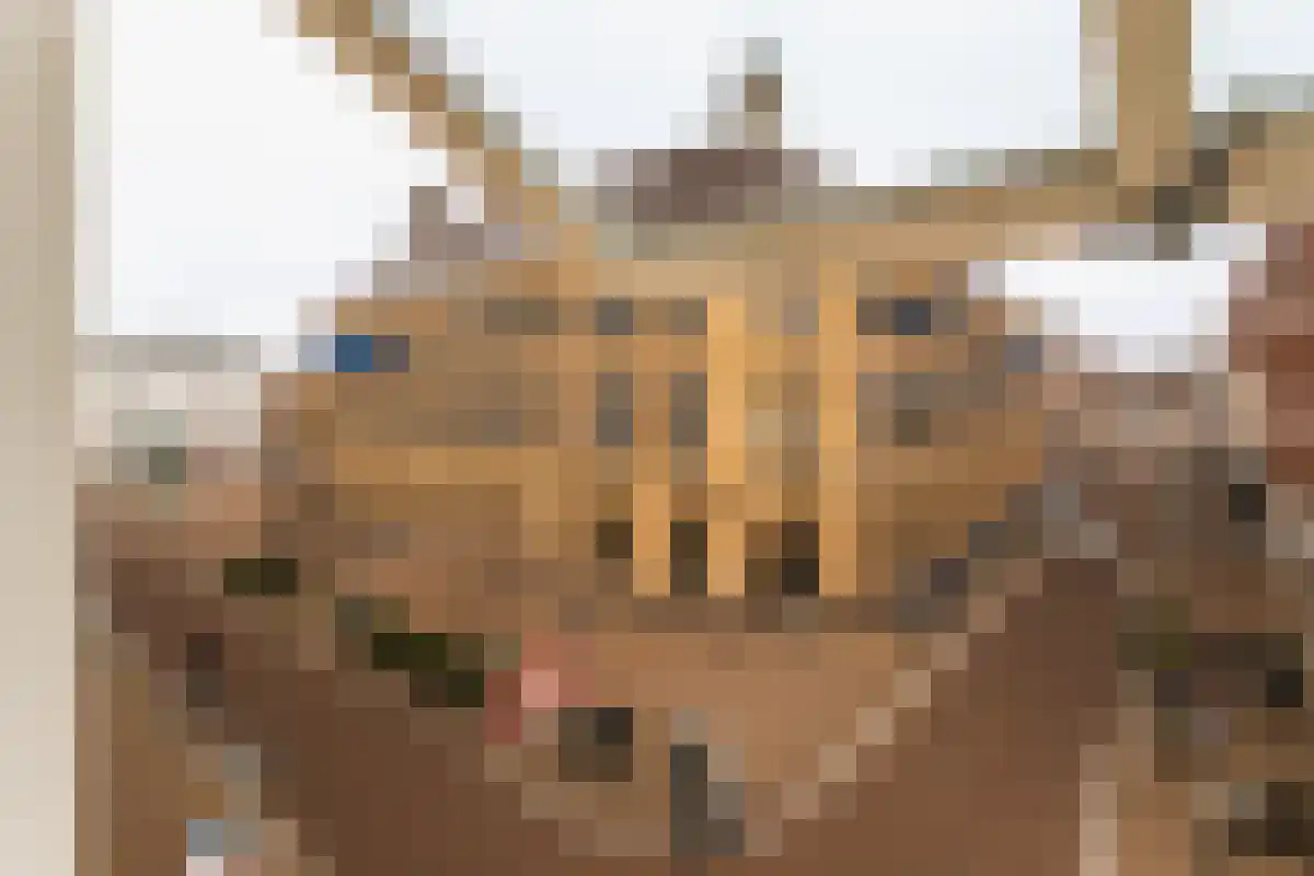 Abdijlaan 62 D Uden thumbnail 5