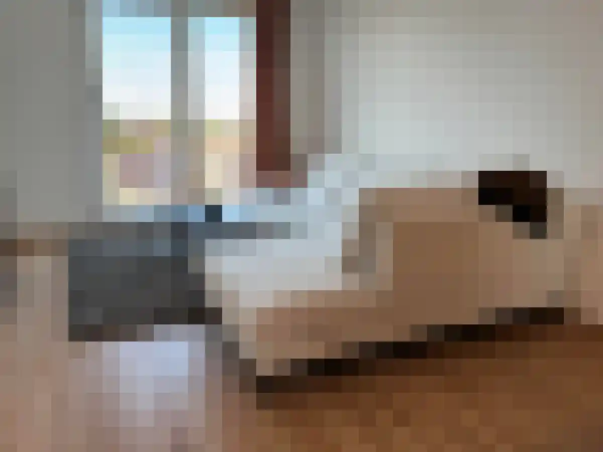 Abdijlaan 62 Uden foto 3