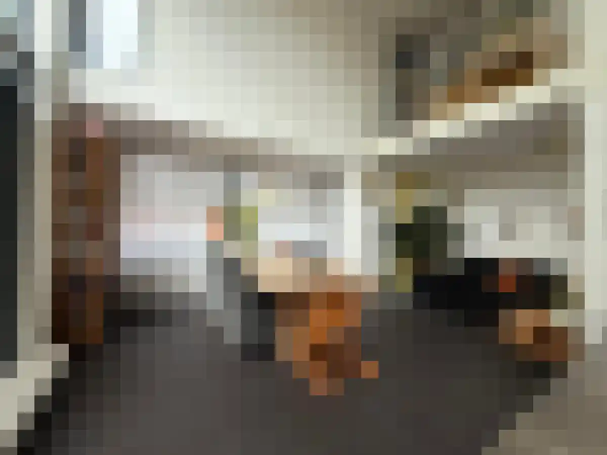 Abdijlaan 63 Uden thumbnail 4