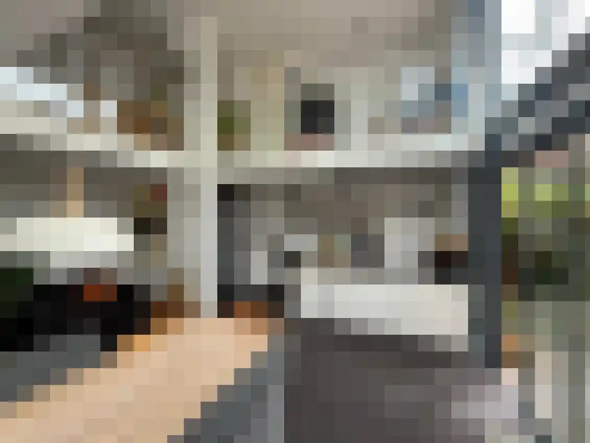 Abdijlaan 63 Uden thumbnail 5