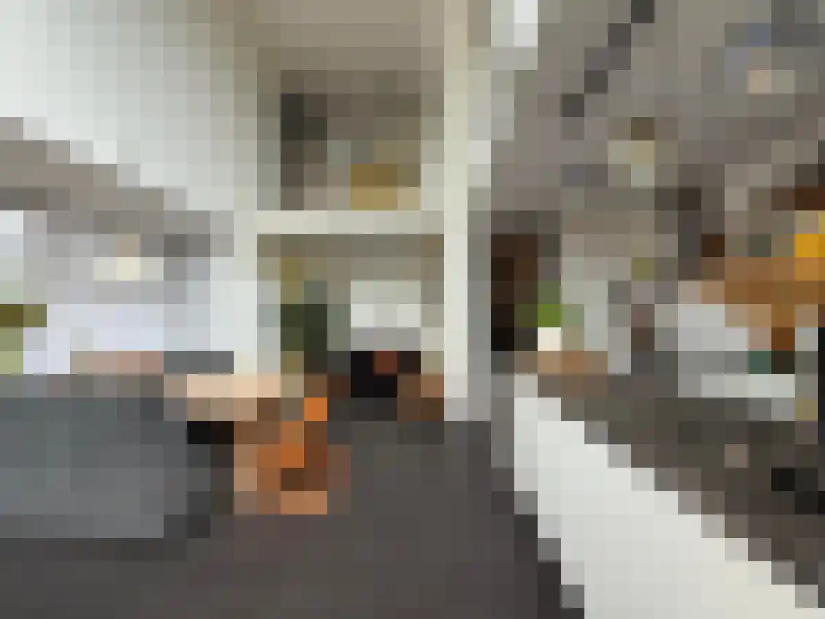 Abdijlaan 63 Uden thumbnail 6