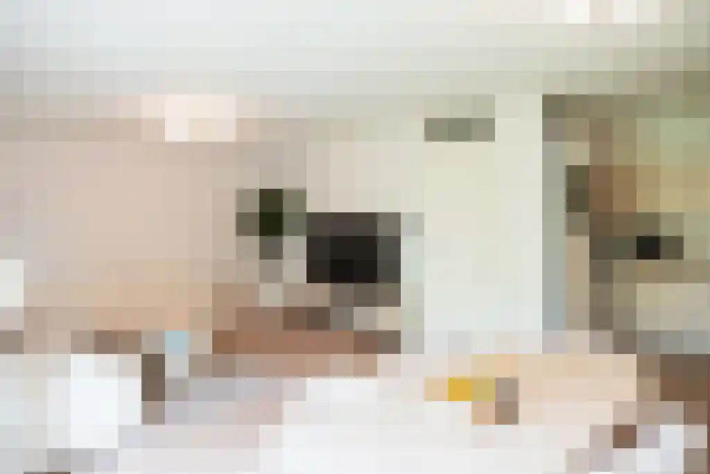 Abdijlaan 63 Uden thumbnail 6