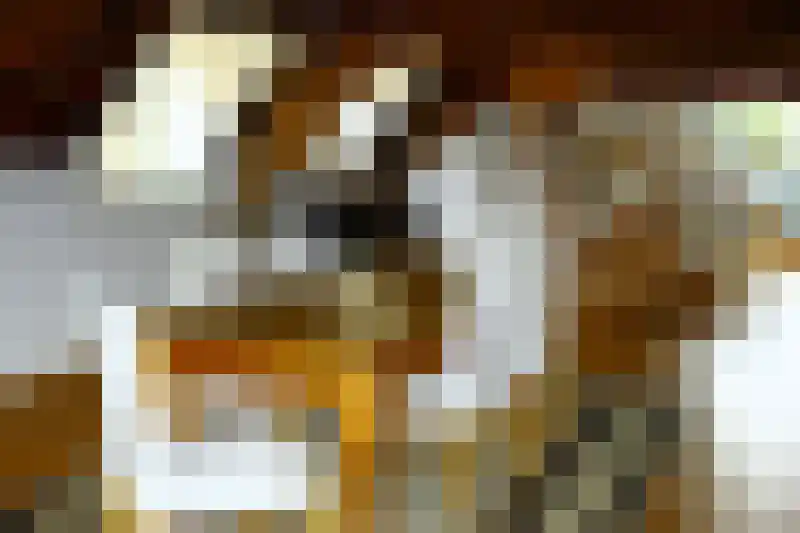 Abdijlaan 64 A Uden thumbnail 4