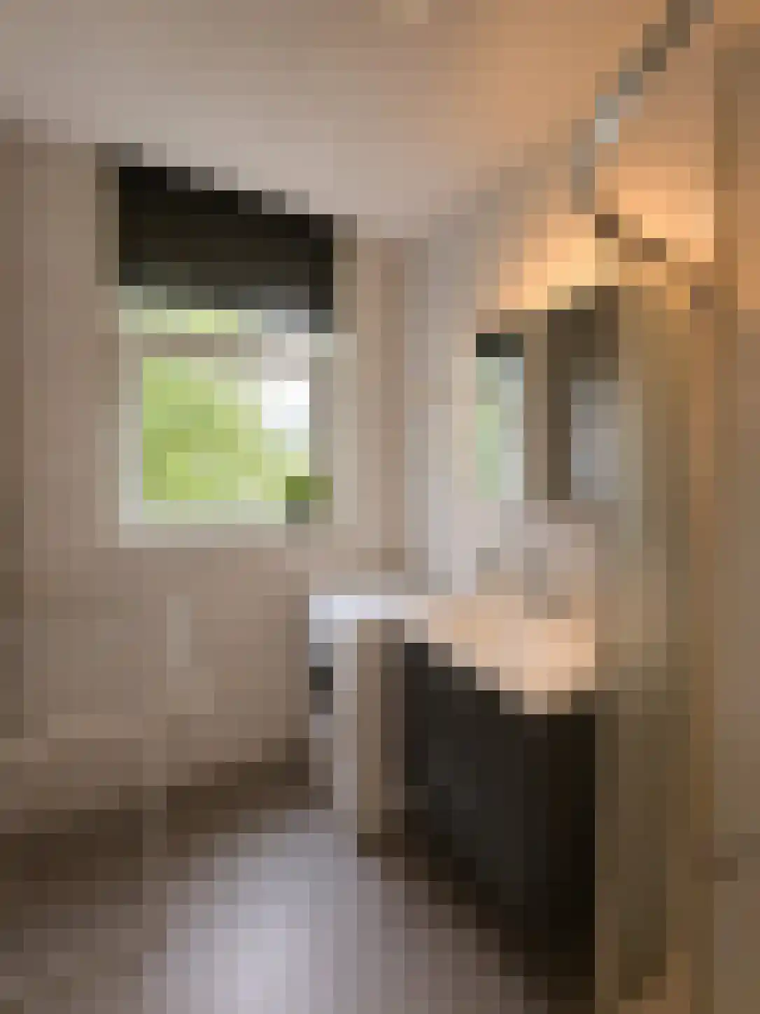 Abdijlaan 64 Uden thumbnail 4