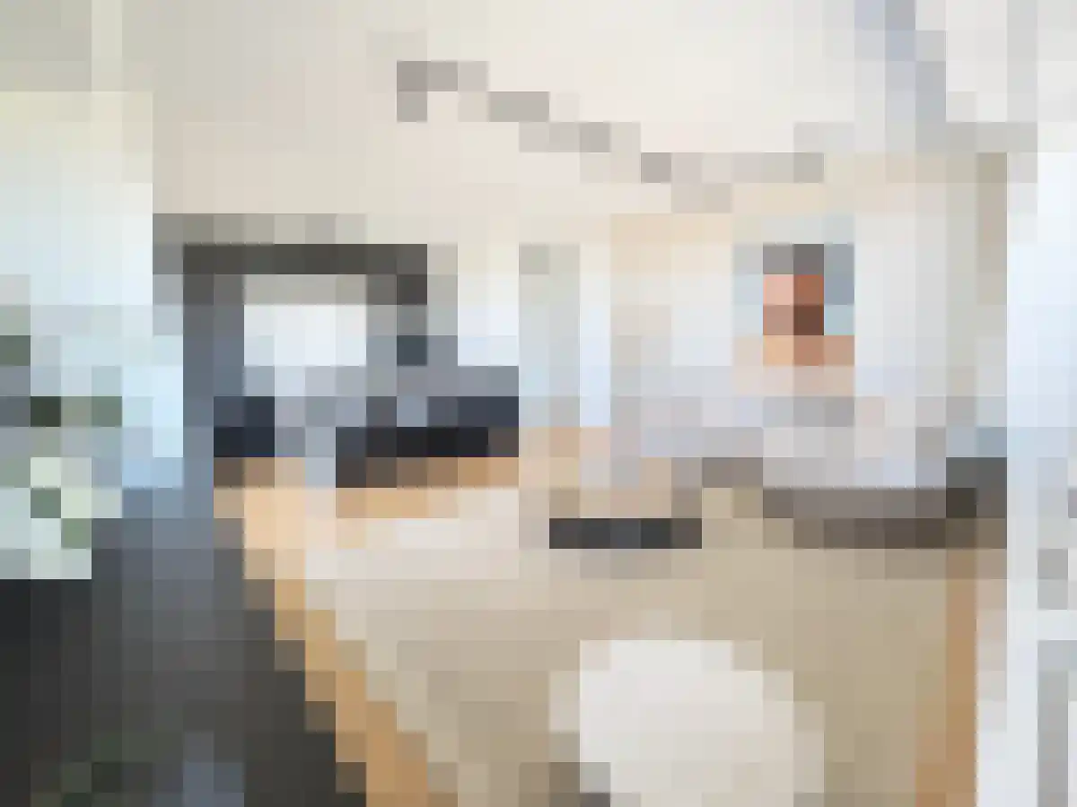 Abdijlaan 64 Uden thumbnail 4