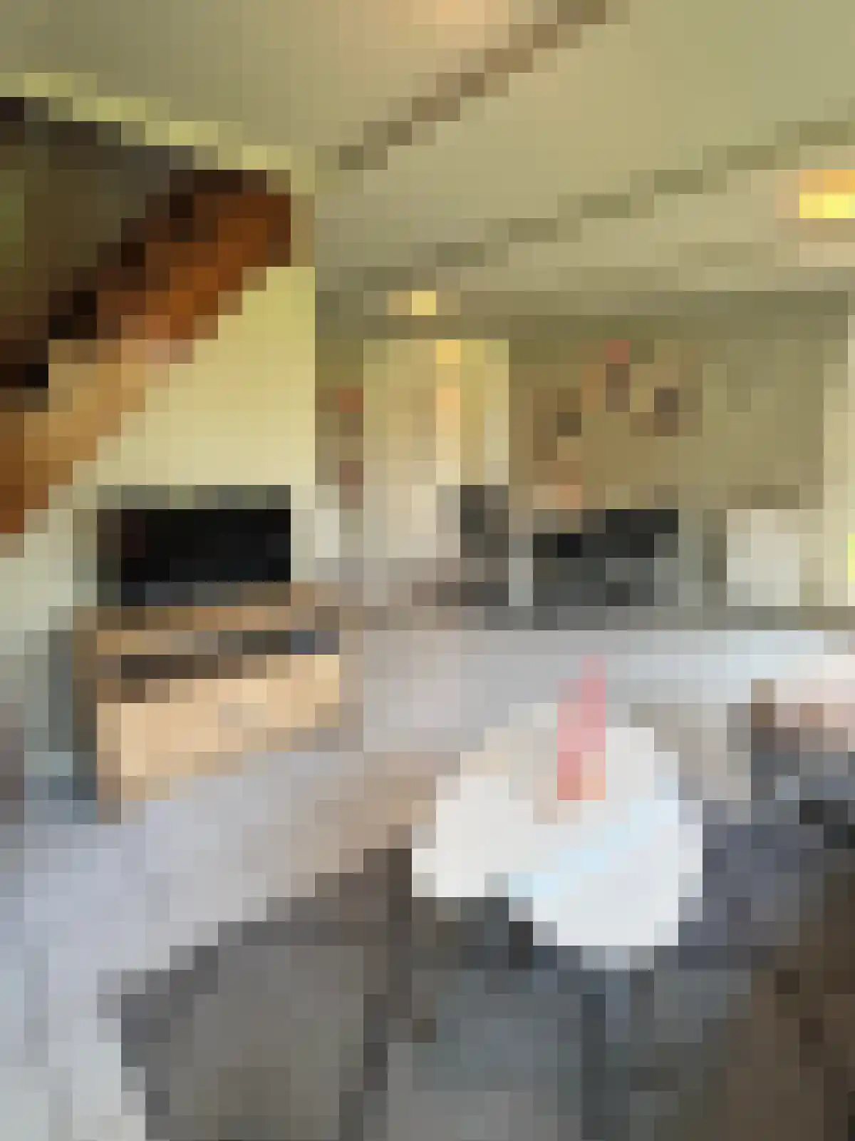 Abdijlaan 64 Uden thumbnail 4