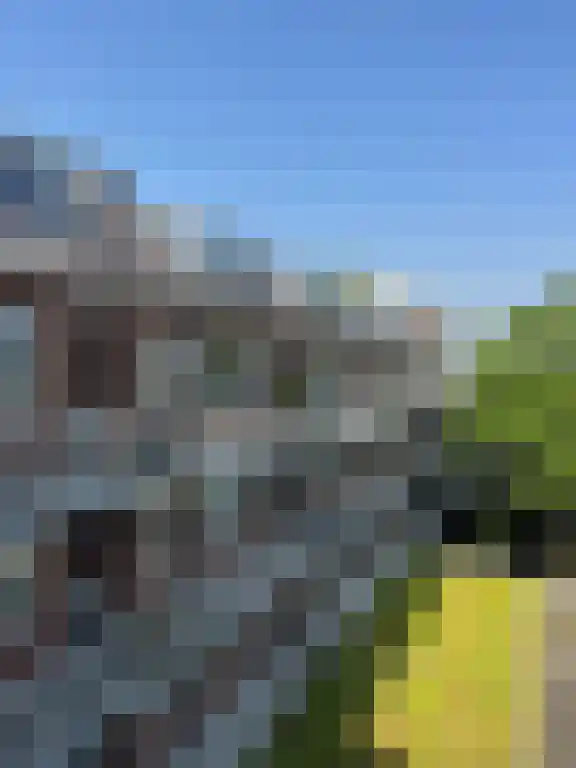 Abdijlaan 65 Uden foto 2