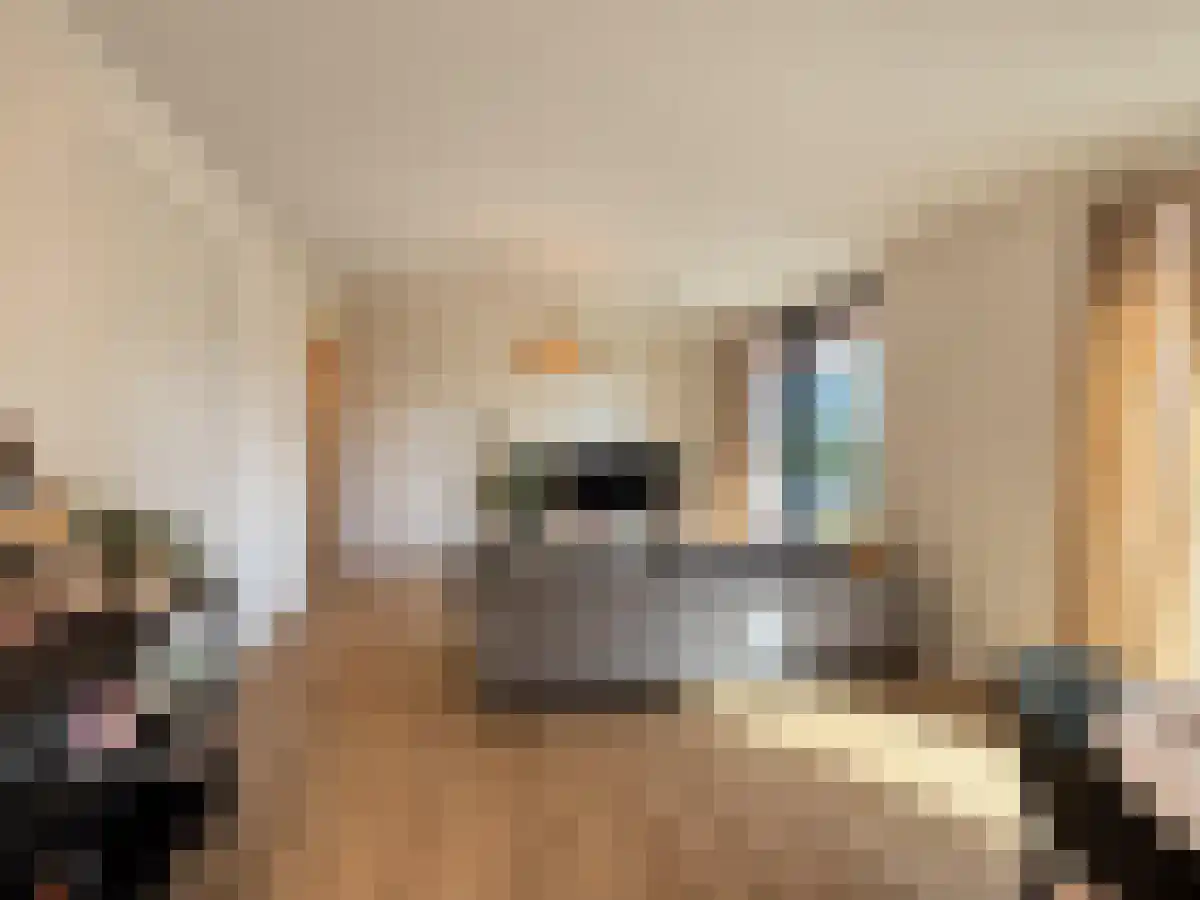 Abdijlaan 65 Uden foto 3