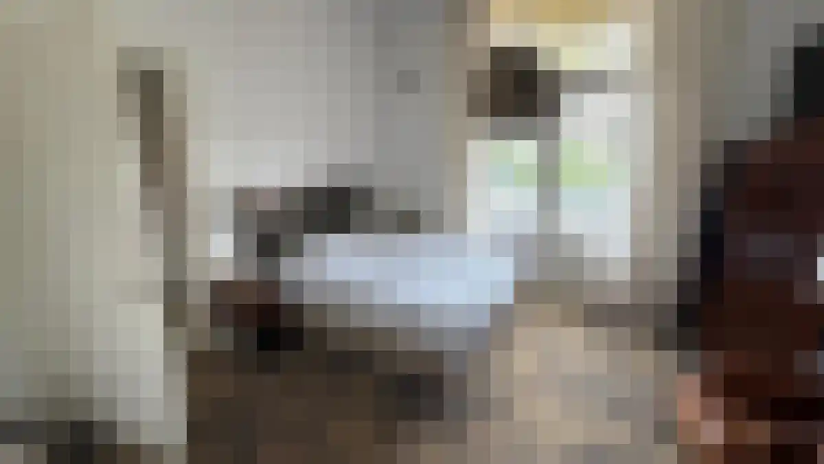 Abdijlaan 65 Uden thumbnail 5