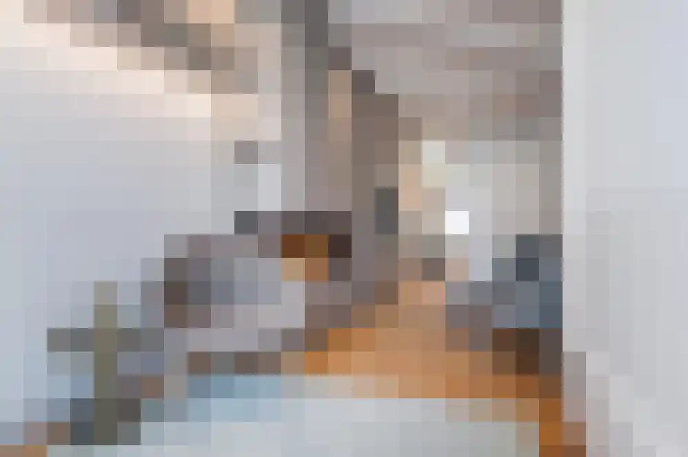 Abdijlaan 652 Uden thumbnail 4