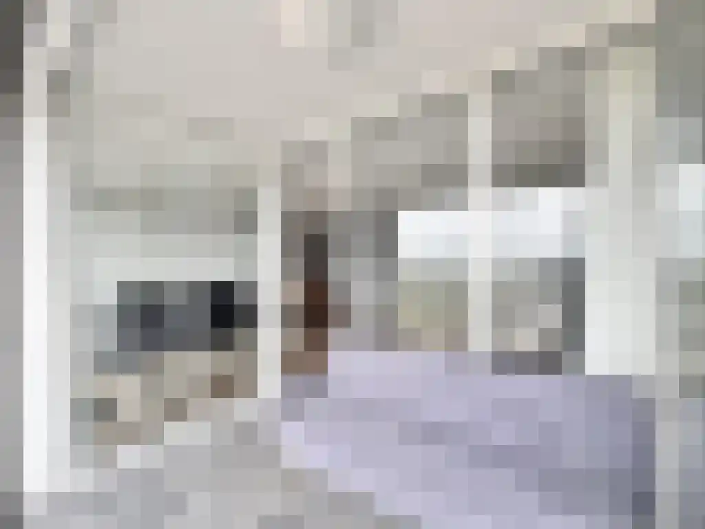 Abdijlaan 655 Uden thumbnail 6