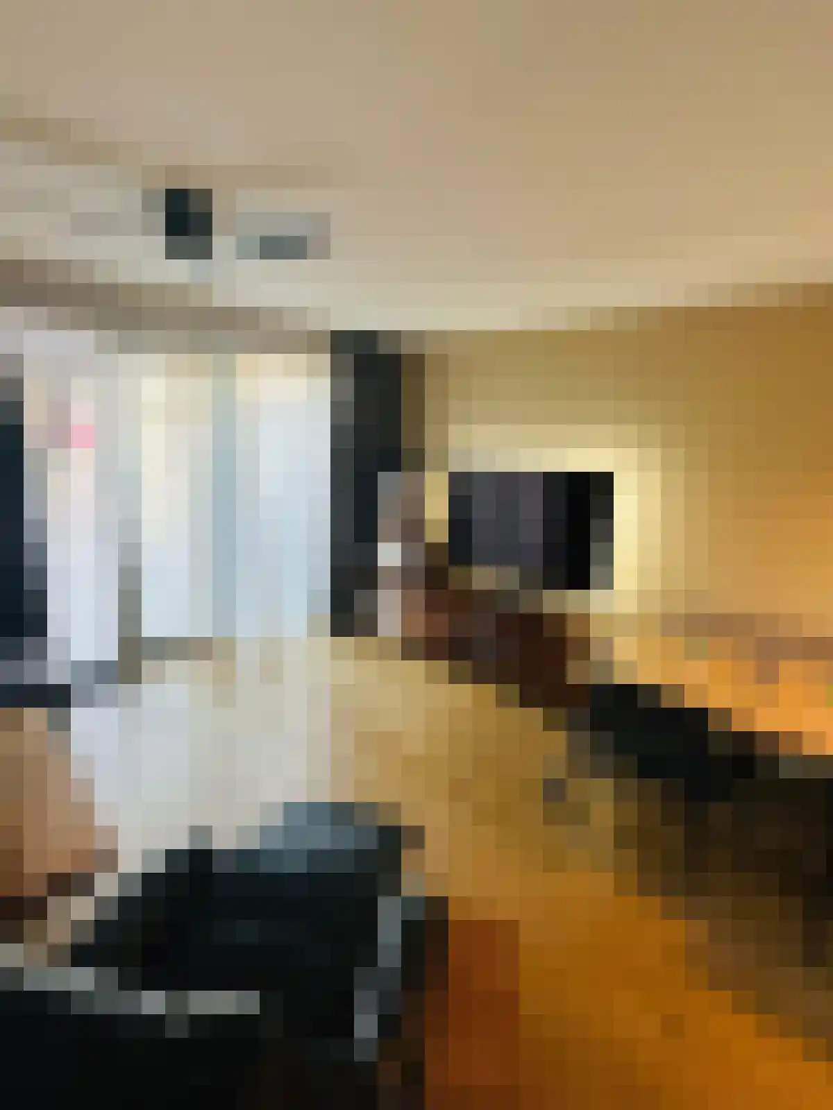 Abdijlaan 66 Uden foto 3
