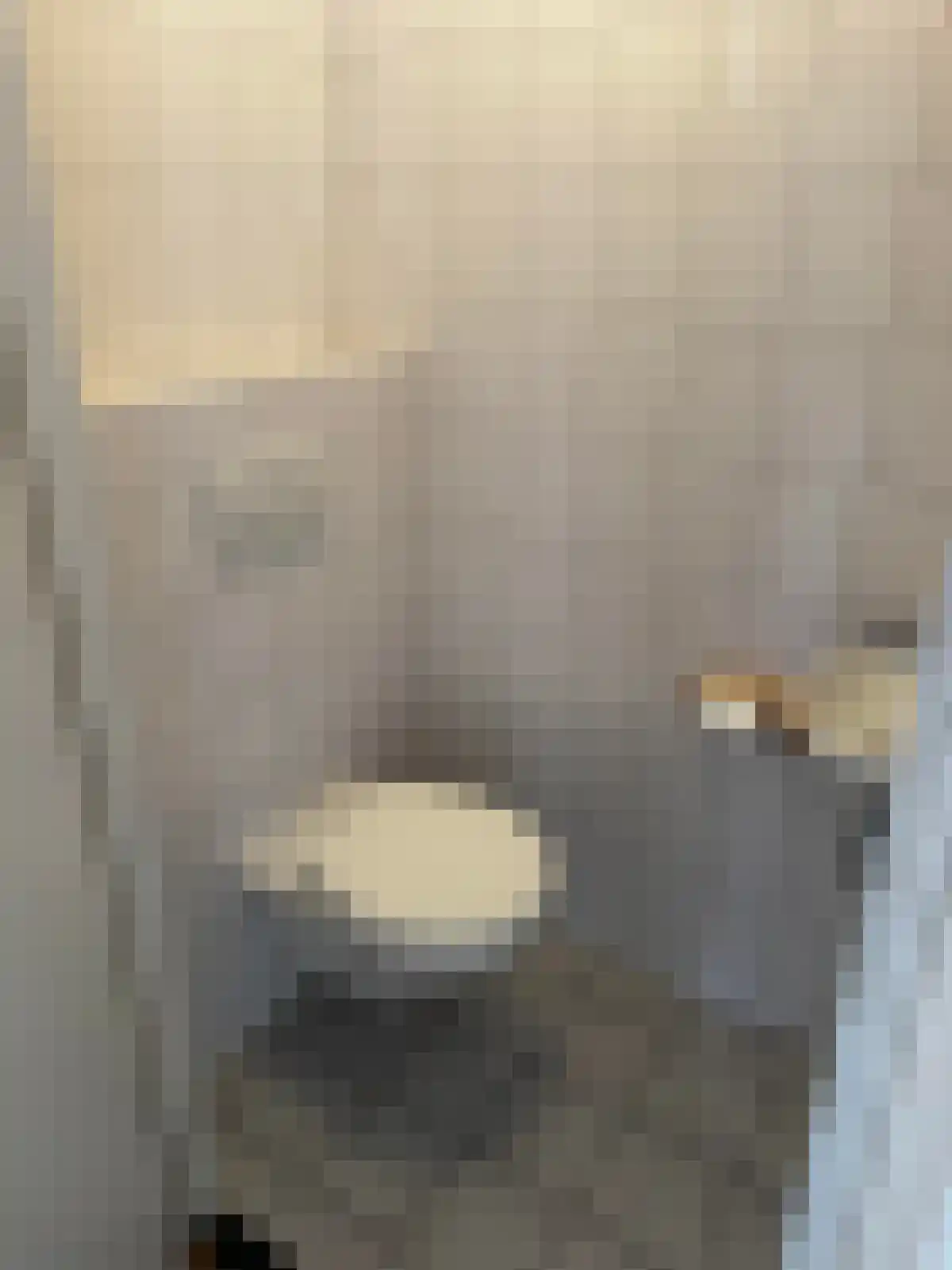 Abdijlaan 66 Uden thumbnail 6