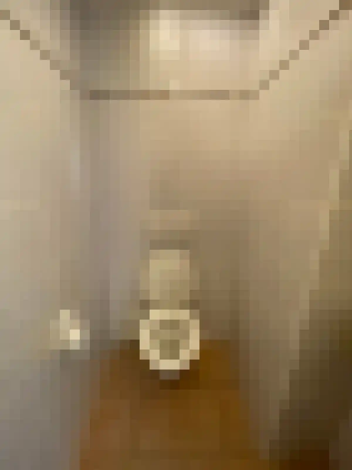Abdijlaan 66 Uden thumbnail 6