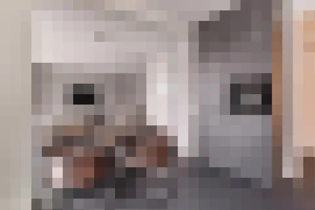 Abdijlaan 67 N Uden thumbnail 5