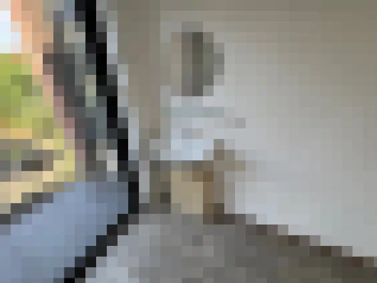 Abdijlaan 68 4 Uden thumbnail 6