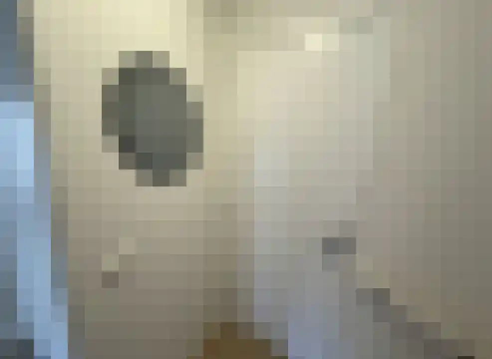Abdijlaan 68 Uden thumbnail 5