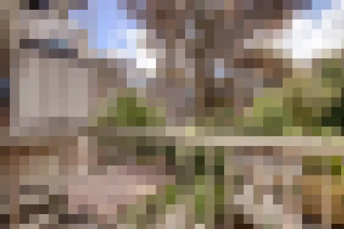 Abdijlaan 69 B Uden thumbnail 4
