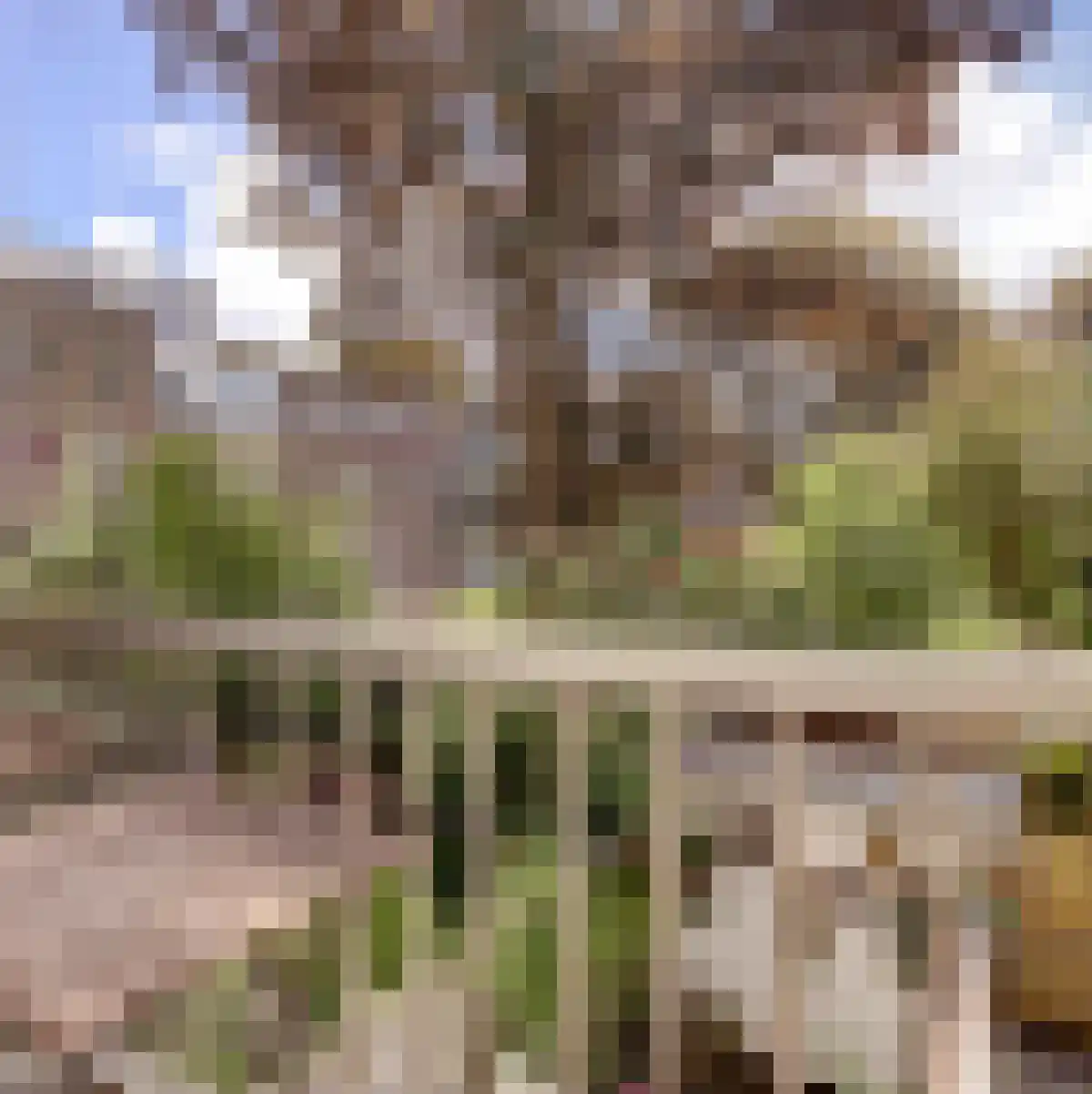Abdijlaan 69 B Uden thumbnail 5