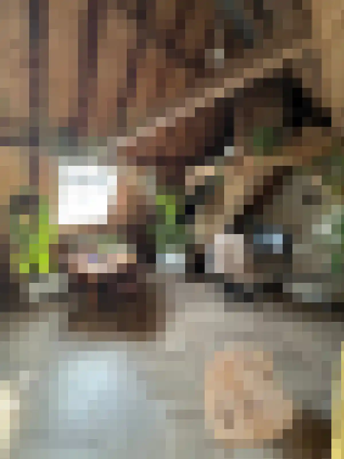 Abdijlaan 69 Uden thumbnail 5