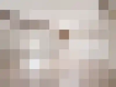 Abdijlaan 69 Uden thumbnail 57