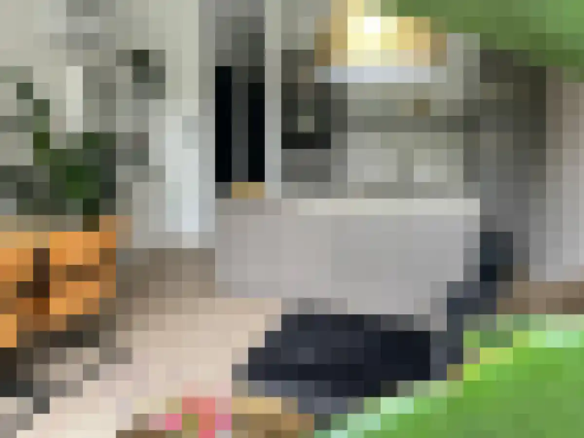 Abdijlaan 7 Uden