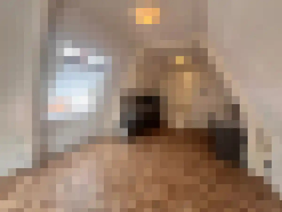 Abdijlaan 7 Uden thumbnail 4